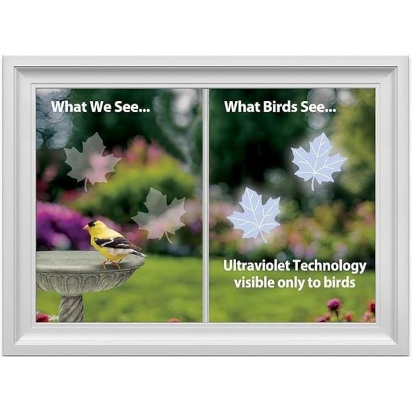 Window Alert Maple Leaf Transparent Bird Strike Deterrent, 4PK