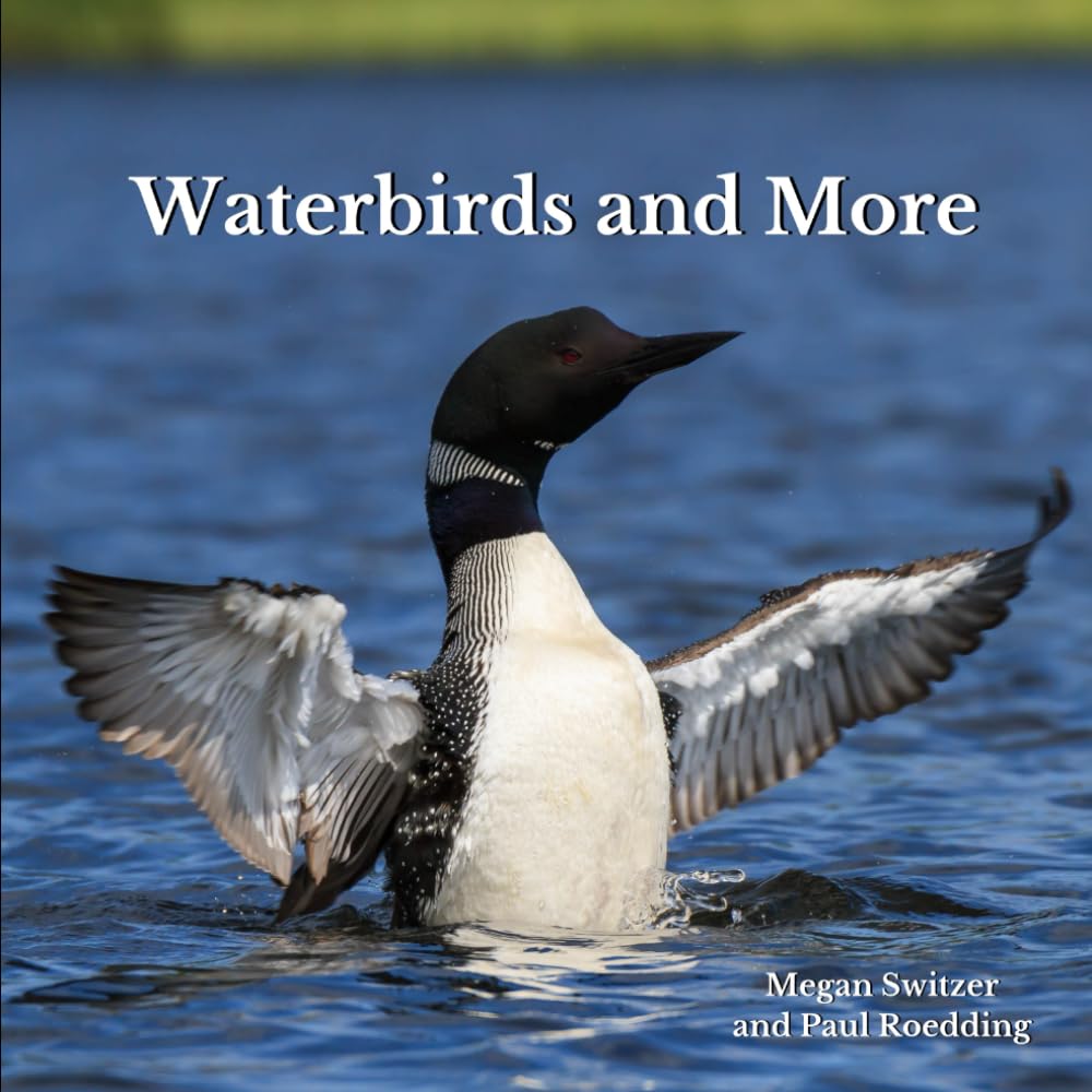 Waterbirds and More by Megan Switzer and Paul Roedding