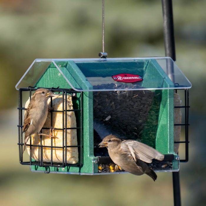 Weatherproof Double Suet Hopper Bird Feeder, Green