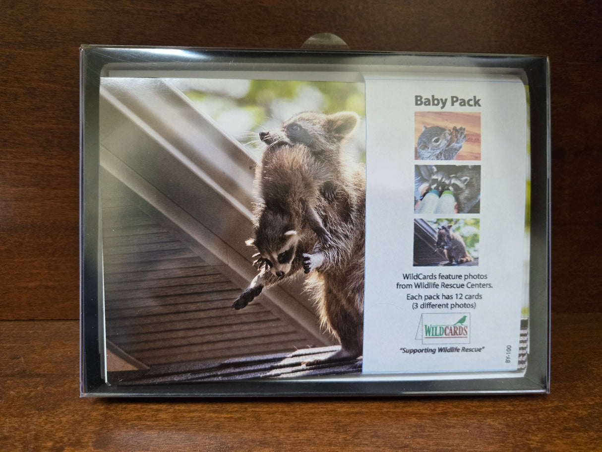 WildCards Baby Animal Greeting Cards Pack