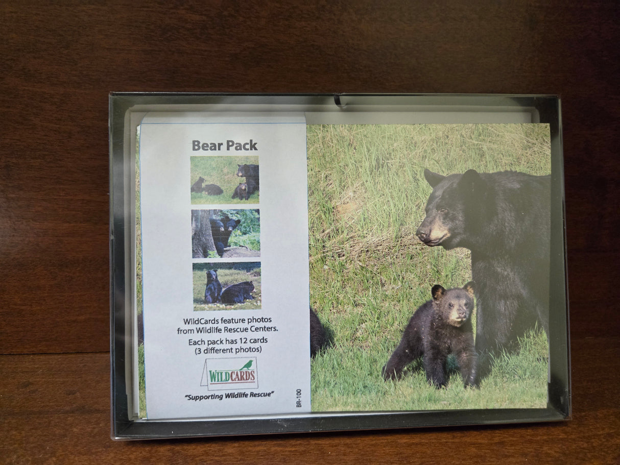 WildCards Bear Greeting Cards Pack