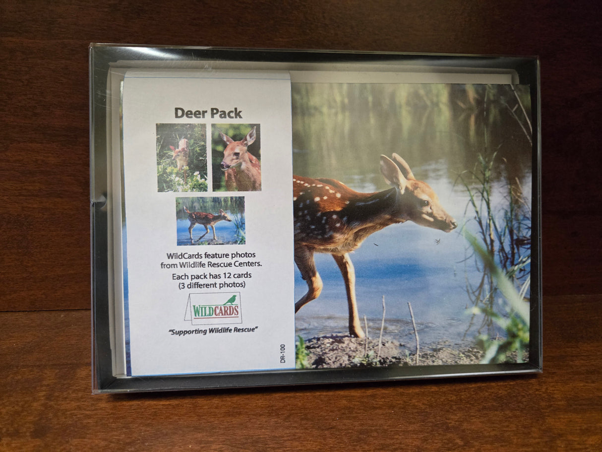 WildCards Deer Greeting Cards Pack