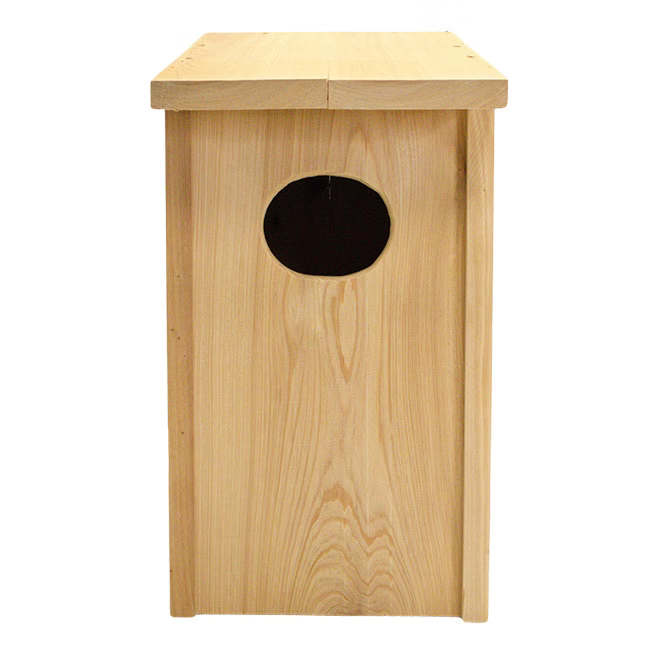 Wood Duck Joy Box Birdhouse