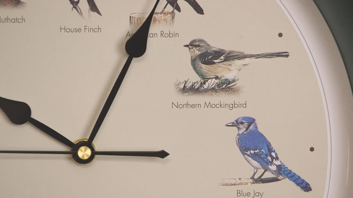 25th Anniversary Original Singing Bird Clock, 13 Inch, Oak