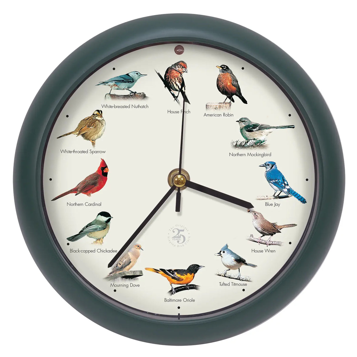 25th Anniversary Original Singing Bird Clock, 8 Inch, Green