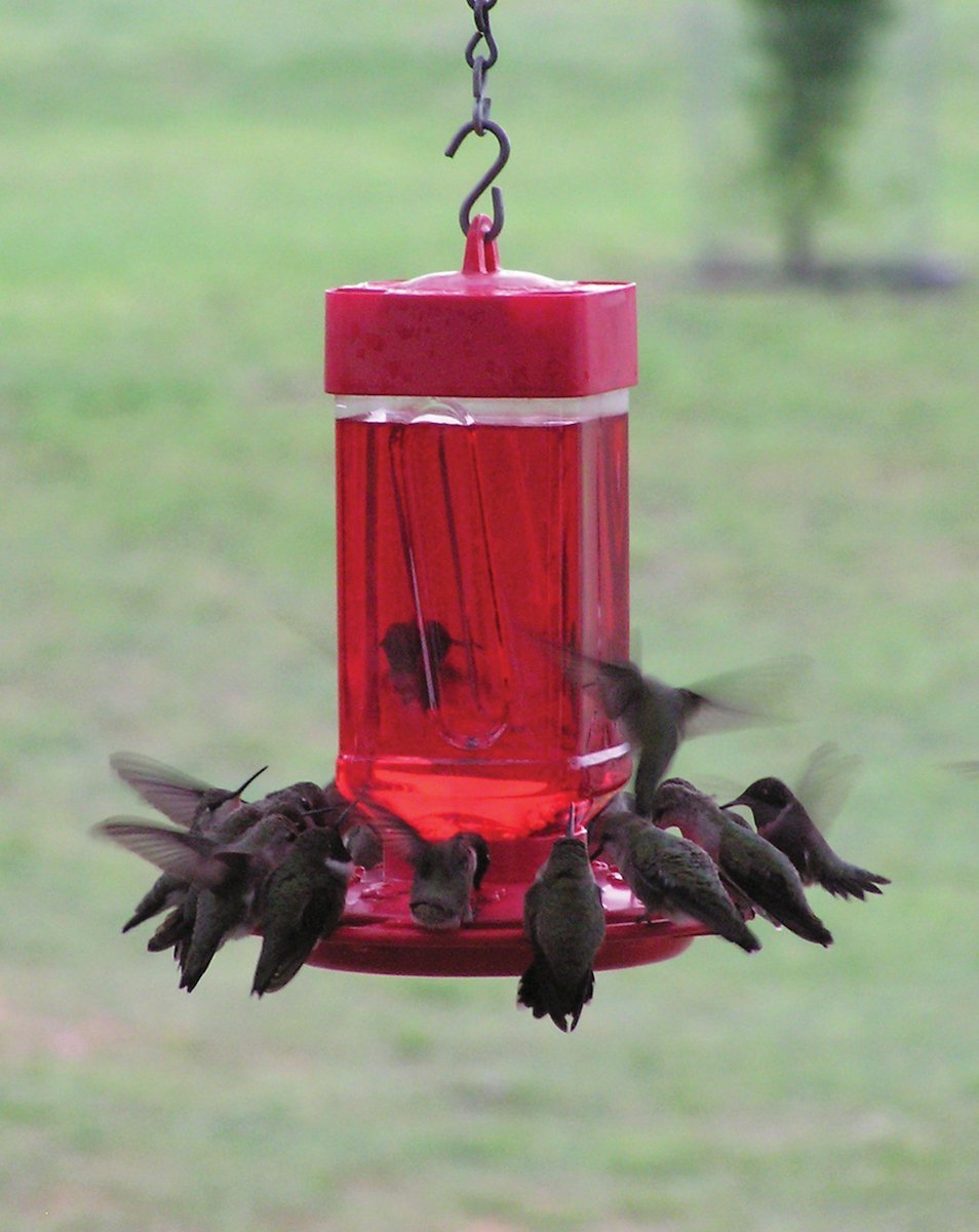 32-ounce Hummingbird Feeder