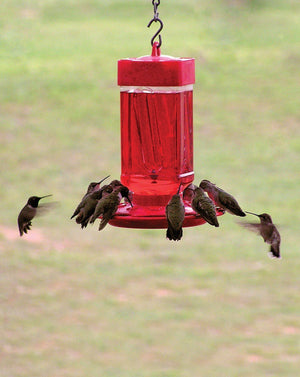 32-ounce Hummingbird Feeder