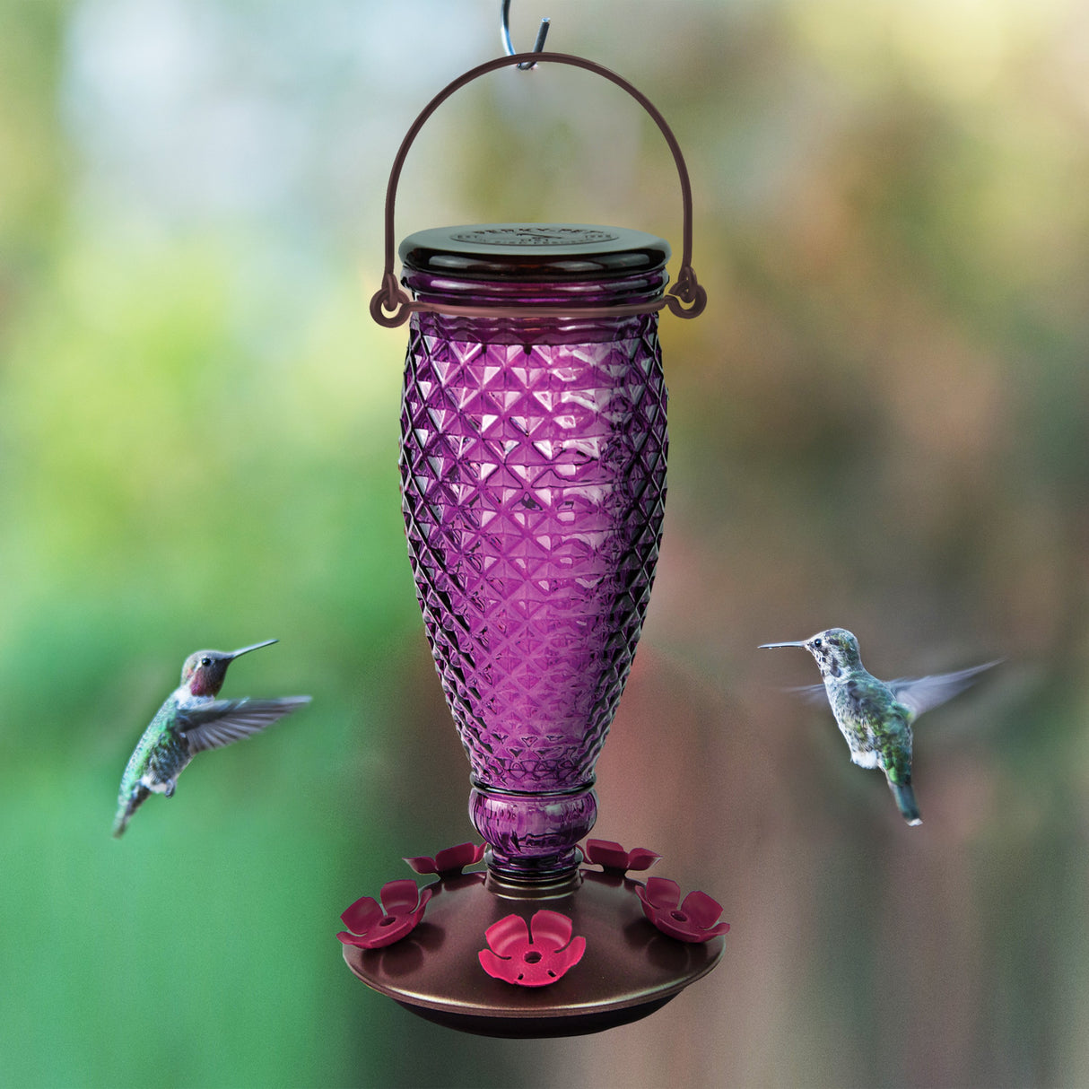 The Perky-Pet Diamond Wine Top-Fill Glass Hummingbird Feeder