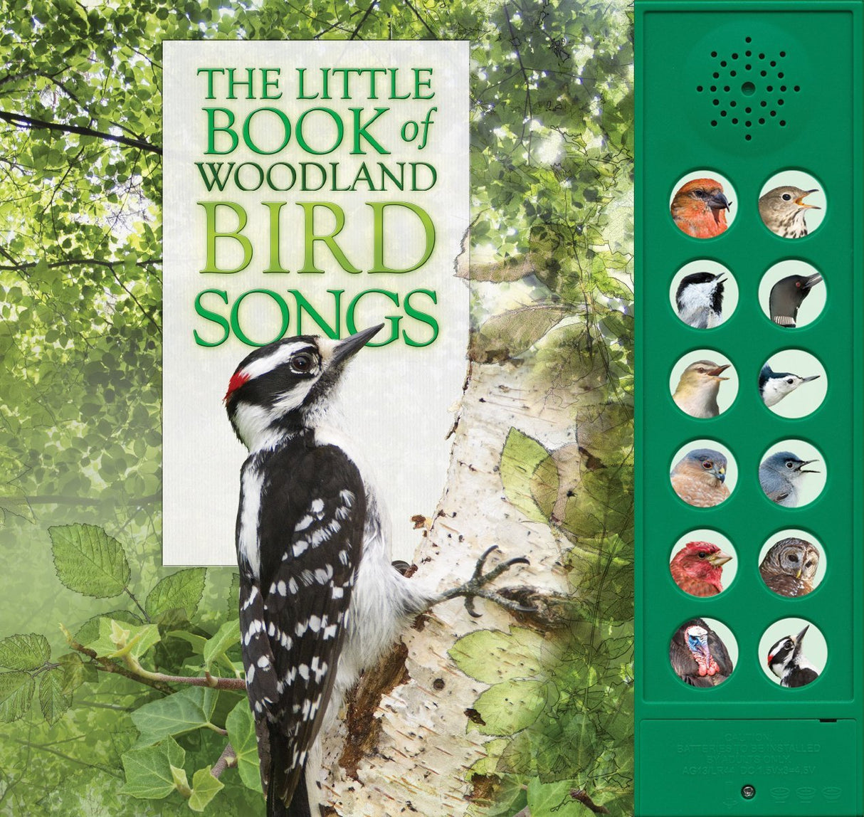 The Little Book of Woodland Bird Songs (Book of the Month)