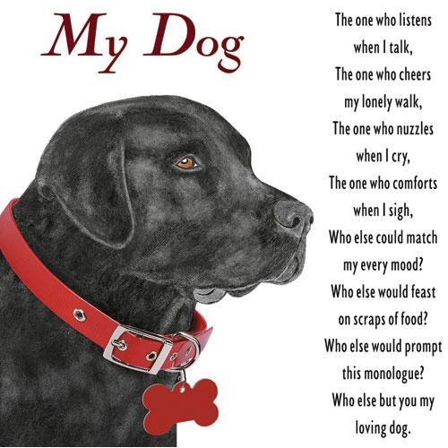 My Dog Flour Sack Towels, Set of 2