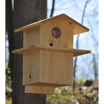 Handmade Squirrel House