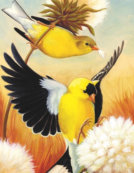 Goldfinch Mini 100 Piece Jigsaw Puzzle