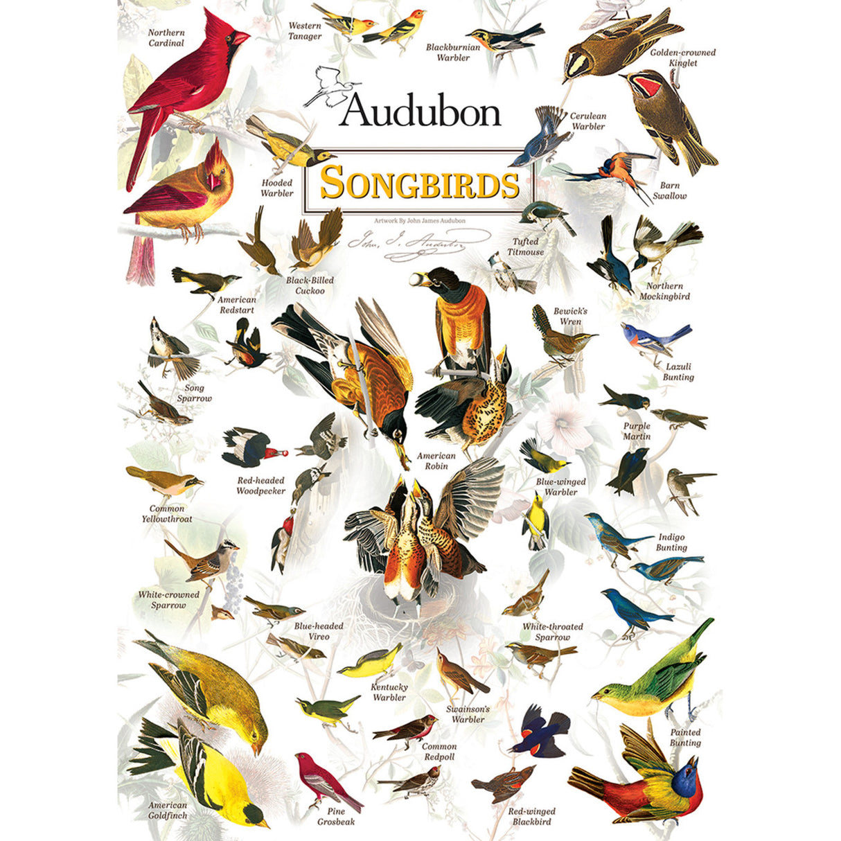 Audubon Songbird 1000pc Puzzle
