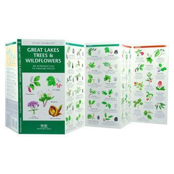 Pocket Naturalist: Great Lake Trees and Wildflowers