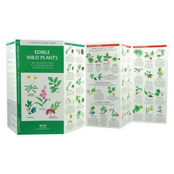 Pocket Naturalist: Edible Wild Plants