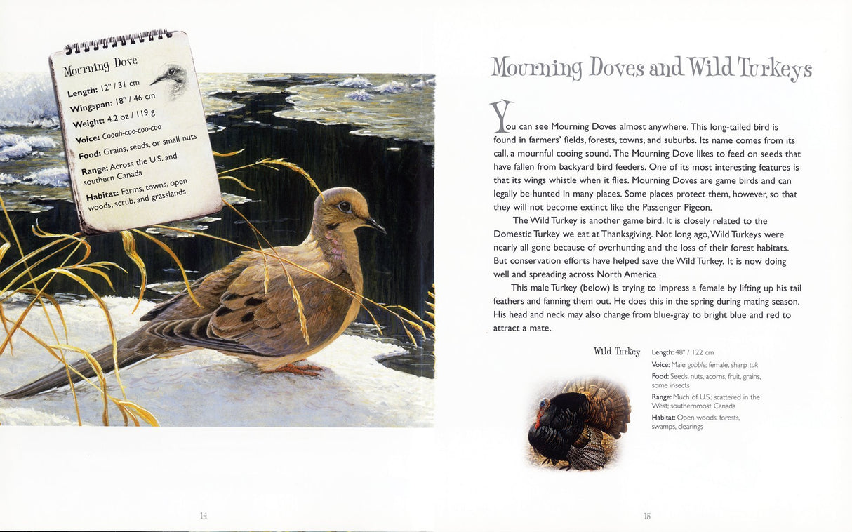 Backyard Birds by Robert Bateman