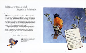 Backyard Birds by Robert Bateman