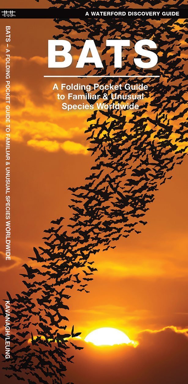 Bats: A Folding Pocket Guide to Familiar & Unusual Species
