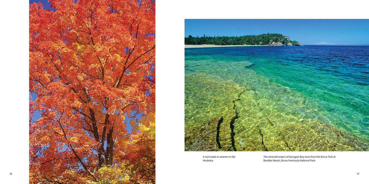 Beautiful Ontario, Firefly Books