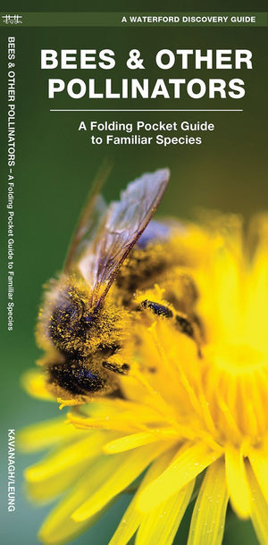Bees & Other Pollinators: A Folding Pocket Guide
