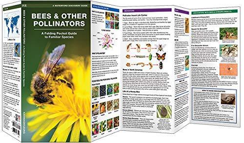 Bees & Other Pollinators: A Folding Pocket Guide
