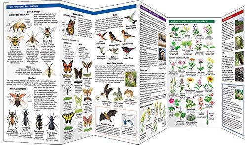 Bees & Other Pollinators: A Folding Pocket Guide