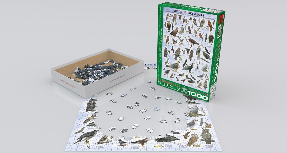 Birds of Prey and Owls 1000-Piece Puzzle
