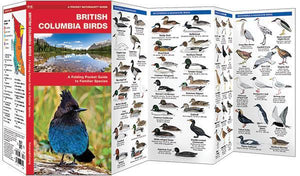 British Columbia Birds