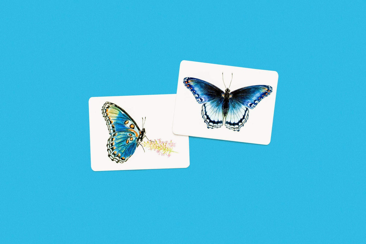 Butterfly Wings: A Matching Game