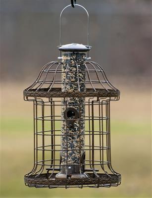 Caged 4 Port Tube Feeder