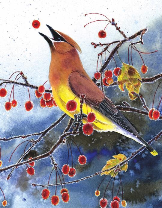 Cedar Waxwing Mini 100 Piece Jigsaw Puzzle