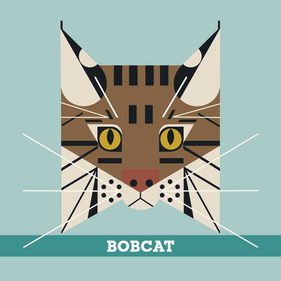 Charley Harper's Animals Memory Game