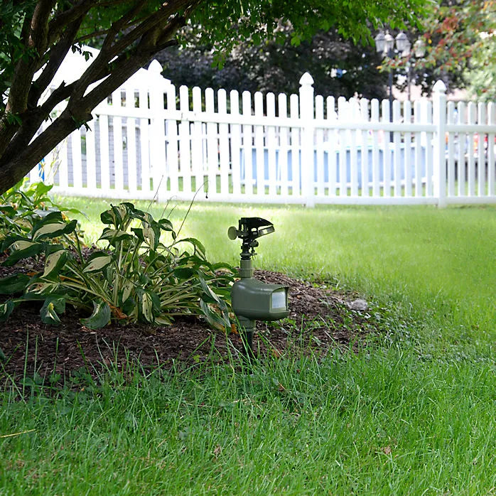 Critter Ridder Motion-Activated Animal Repellent & Sprinkler