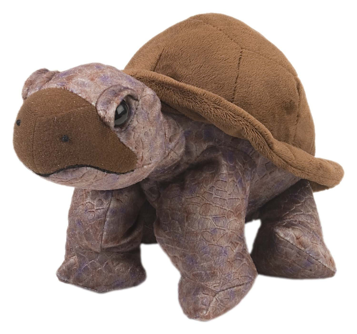 Cuddlekins Tortoise 12 Inch