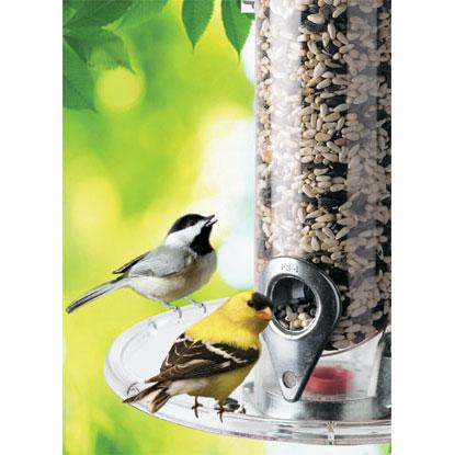 Droll Yankees A-6 Seed Tray, 8"" Diameter