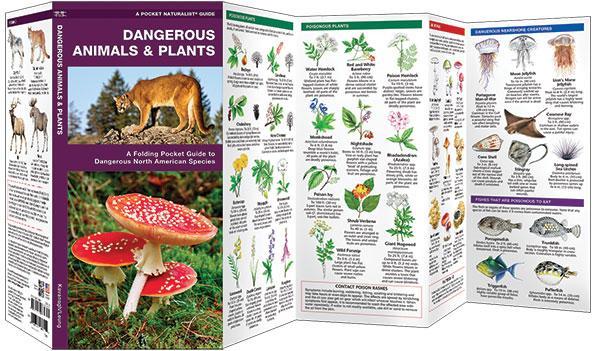 Dangerous Animals & Plants