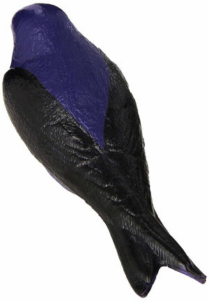 Deluxe Painted Purple Martin Decoy With Mount
