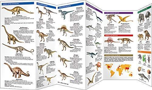 Dinosaurs: A Folding Pocket Guide to Familiar Species