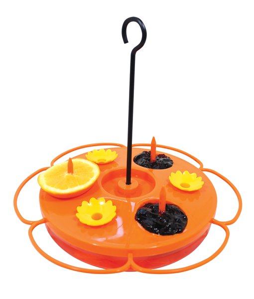 Dish Poly Oriole Feeder w/Spikes