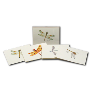 Dragonfly & Damselfly Assortment II Boxed Notes