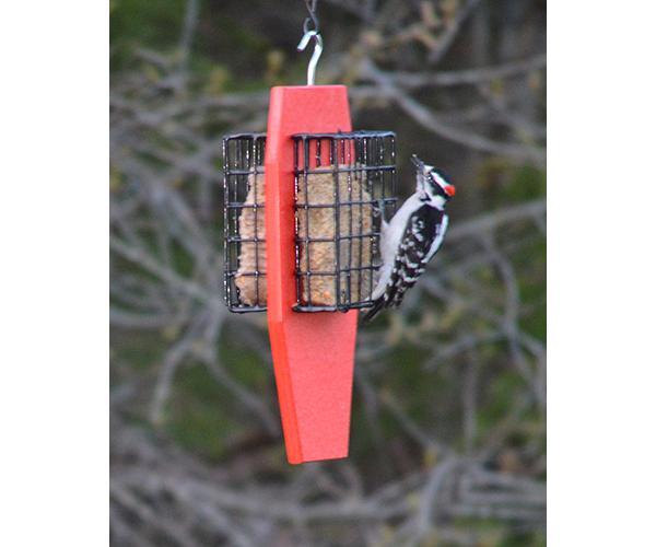 Dual Suet Feeder, Red