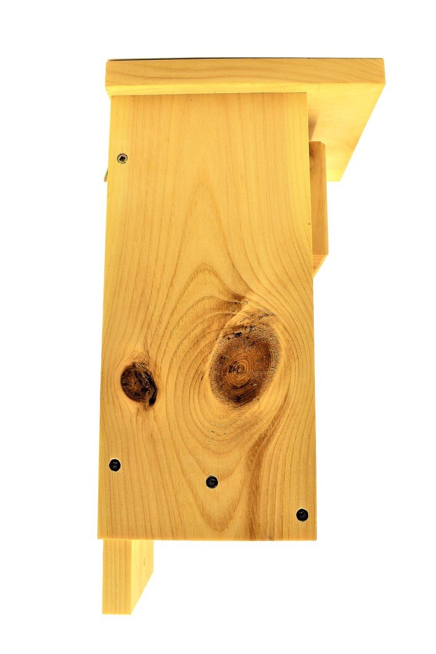 Handmade Downy Woodpecker Birdhouse