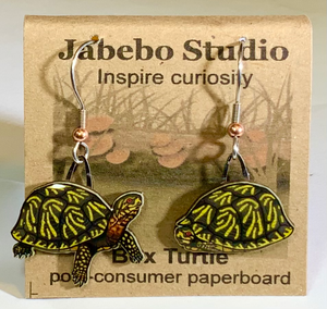 Eco Friendly Box Turtle Earrings