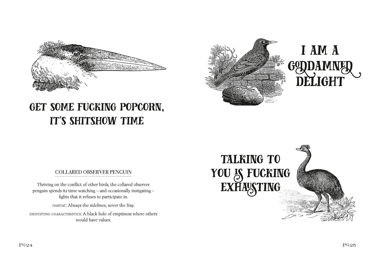 Effin' Birds: A Field Guide to Identification, Hardcover