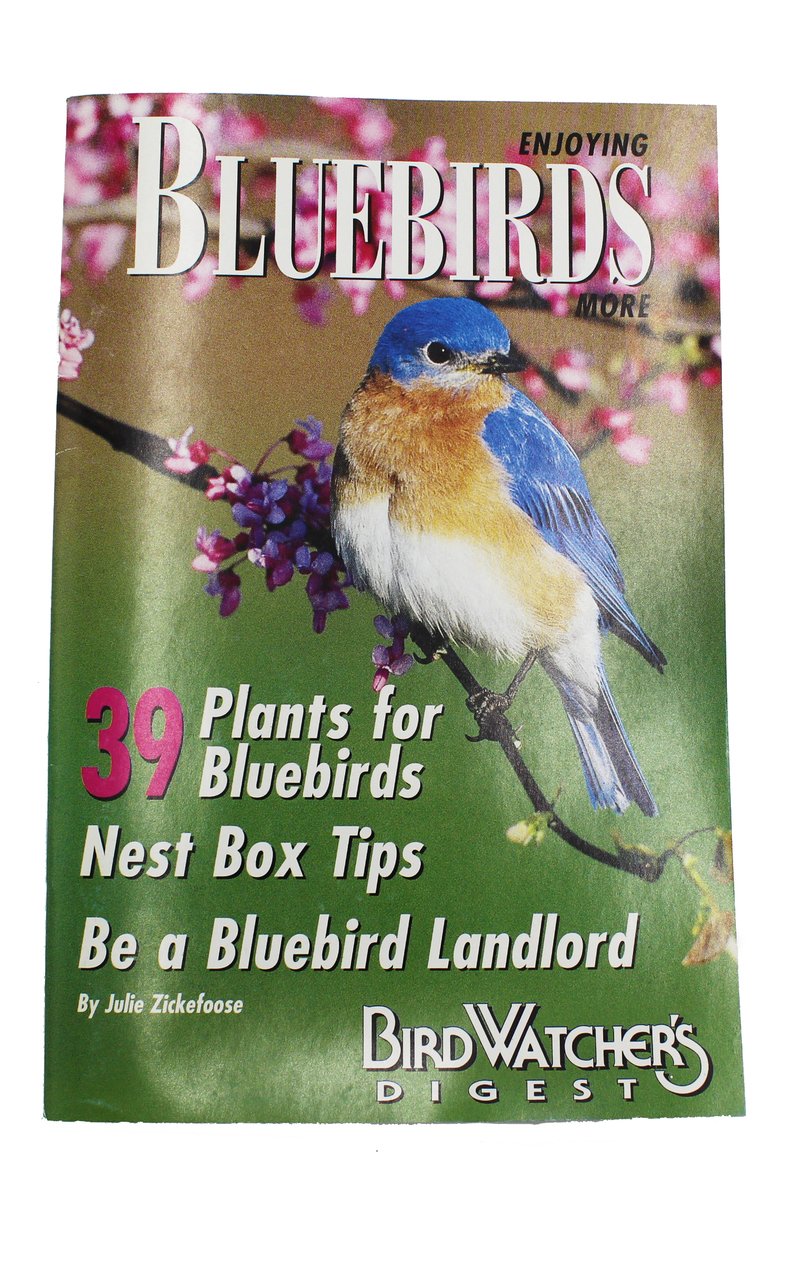 Enjoying Bluebirds More