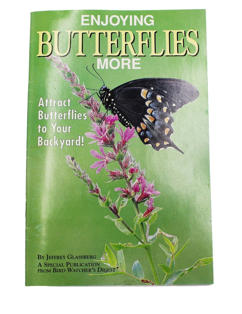 Enjoying Butterflies More