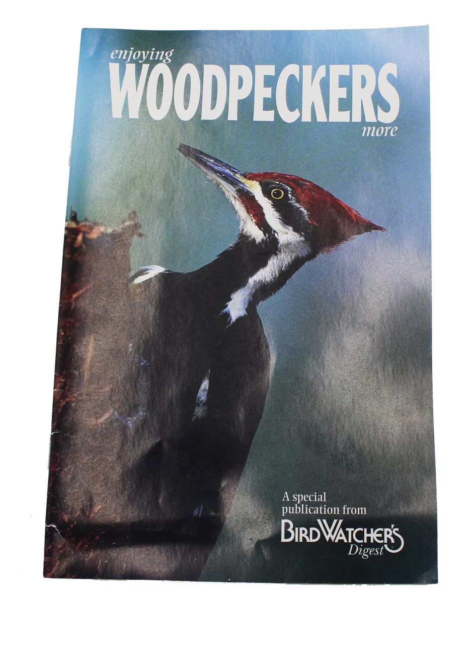 Enjoying Woodpeckers More