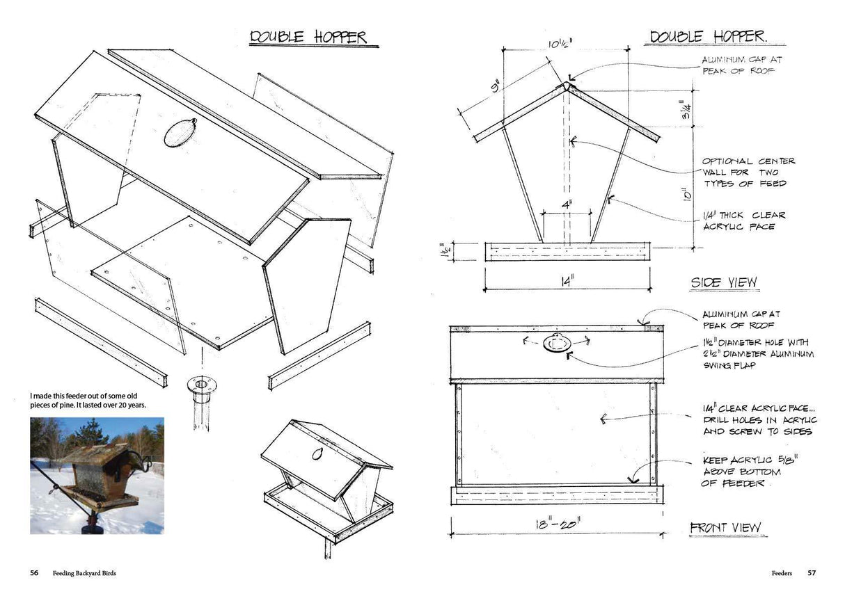 Feed the Birds: Attract and Identify 196 Common North American Birds