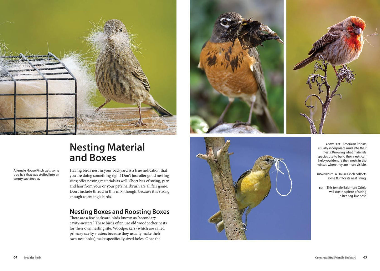 Feed the Birds: Attract and Identify 196 Common North American Birds
