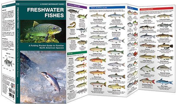 Freshwater Fishes